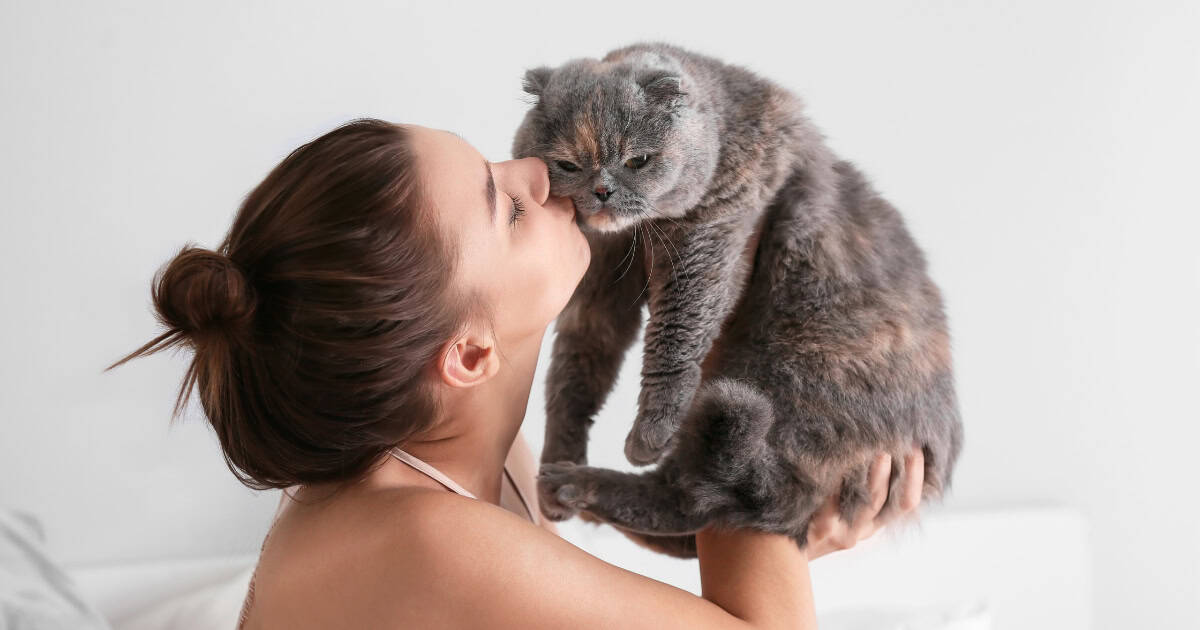 Renting with Cats