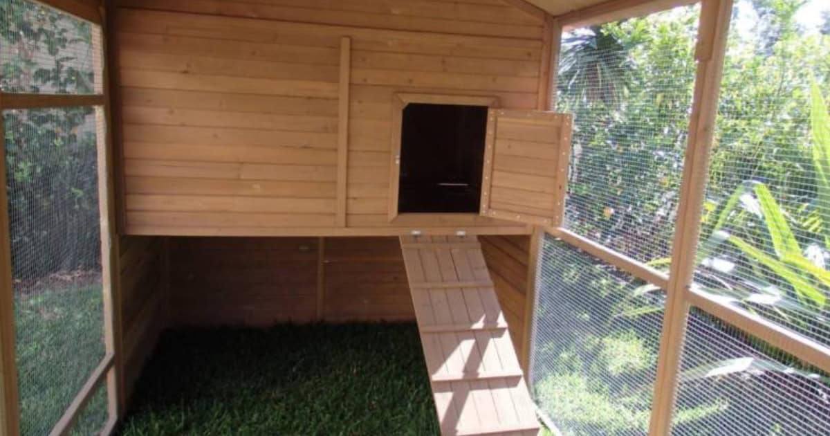 Catio