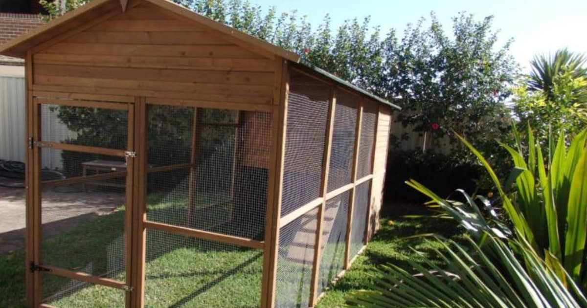 Catio