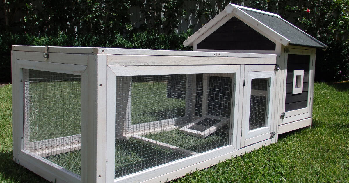 Stop your rabbits from escaping - Deluxe Cottage