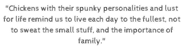 Chickens with their spunky personalities Chickens with their spunky personalities