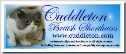 cuddleton cuddleton