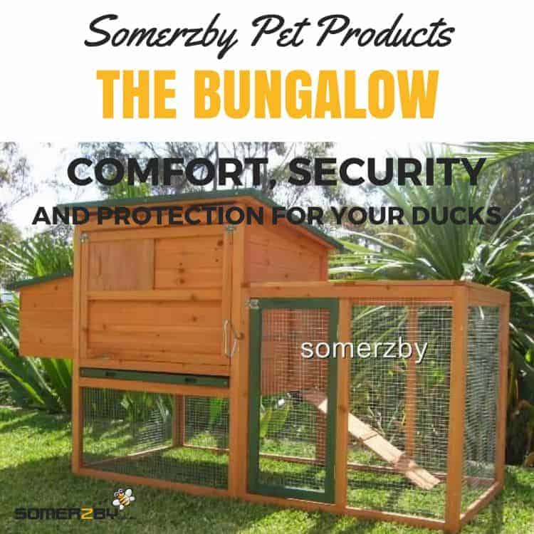 The bungalow The bungalow