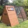 Holly - Somerzby Chicken Coop