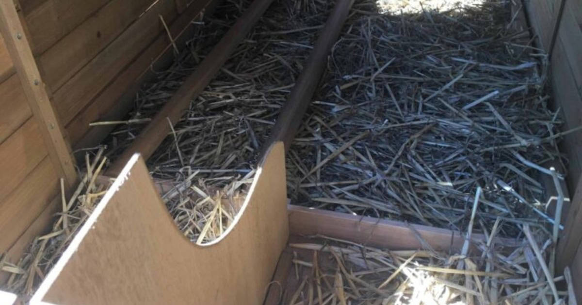 Your nesting box does not need a closed top DIY Nesting Box