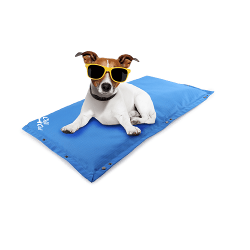 Chill Out Arctic Dog Cooling Mat