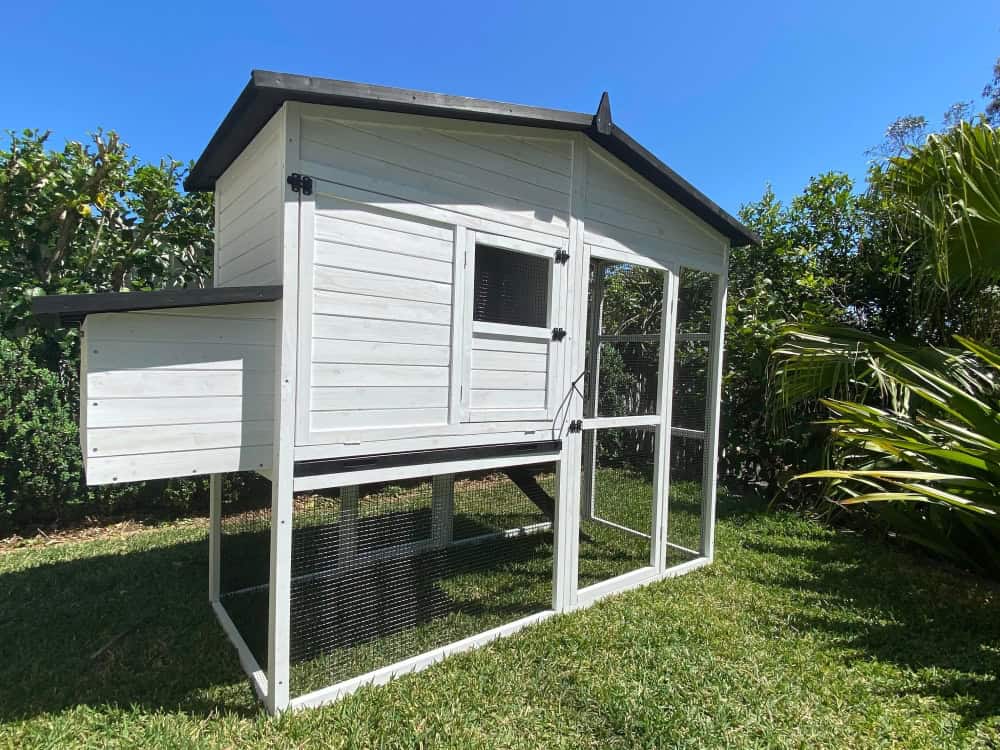 Majestic Cat Enclosure