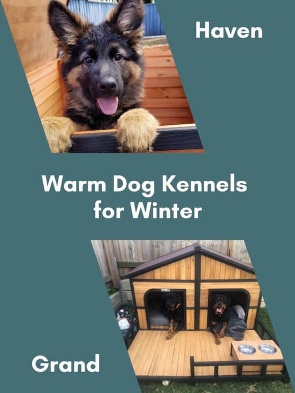 Warm dog kennels for winter - Mobile banner